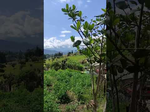 tibaná Boyacá 🍀💚