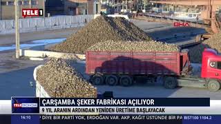 ÇARŞAMBA ŞEKER FABRİKASI AÇILIYOR