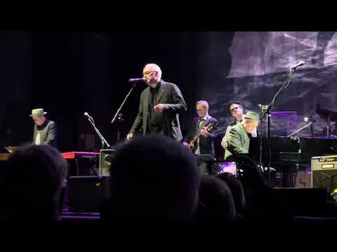 Thumbnail for John Wesley Harding - Reconsider Me [LIVE at Wild Honey 2025]