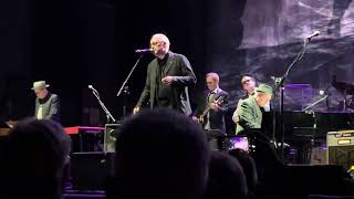 John Wesley Harding - Reconsider Me [LIVE at Wild Honey 2025]
