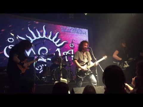 "Медовые реки", ОМЕЛА