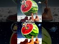 Ghibli Italian Brainrot