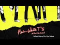 Plain White T's - What More Do You Want (Official Audio)