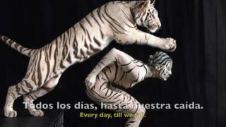 Closer to an animal - Sonata Arctica (Lyrics + Sub. Español)