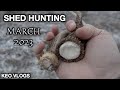 Shed Hunting March 2023