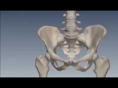Dolore alle spalle e collo, scapole Tacchi malattia osteocondrosi