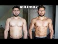 2 Week Body Transformation | Step By Step Fat Loss