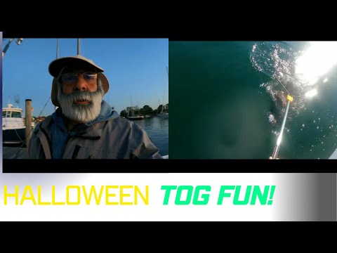 Halloween Tog Fishing Special!!!!