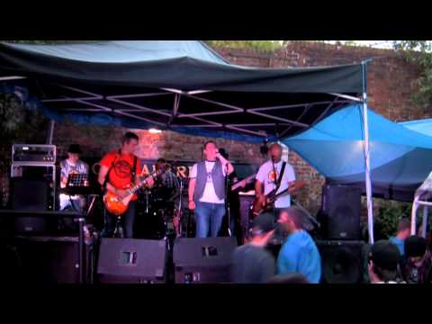 The Newds - Go Getter (live at Dogstock 2013)