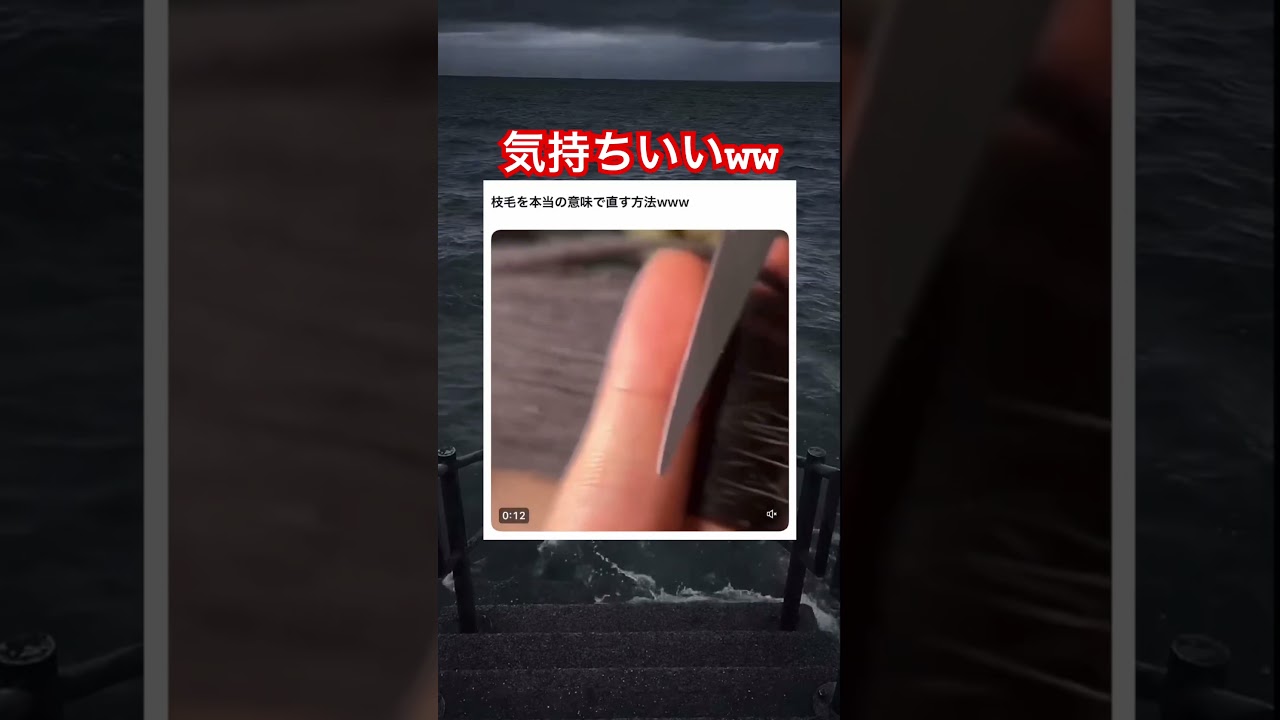 これ結構良くない？　#shorts#tiktok#Twitter#おもしろ#お笑い#おすすめ#髪の毛 #美容師 #面白い#おもしろ動画#爆笑#バズれ