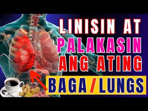 MGA PAGKAING PAMPALINIS AT PAMPATIBAY NG MGA BAGA / LUNGS 2024