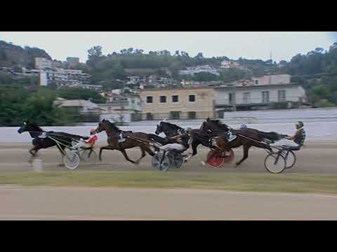 Napoli Trotto 17/09/2023 - 6ª corsa