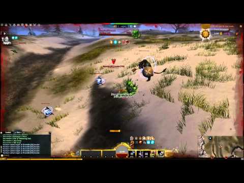 Maskaganda - Level 80 engineer roaming in wvw