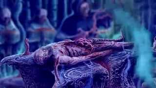 AVULSED - Red Viscera Serology [Official Video-lyric] (2015)