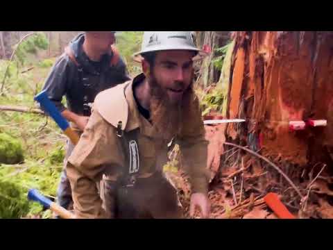 California Bound to work on Redwood thinning job - Day 1