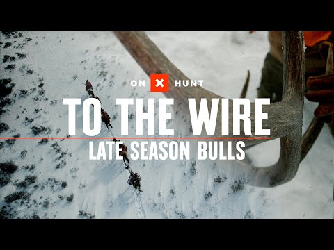 To The Wire | Late Season Elk Hunt