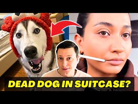 Influencer Scammed Family Restaurant Then Got Exposed For Dead Dog