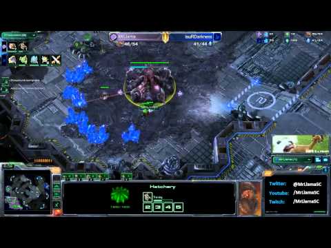 Winning With Ease: Defending 10:00 Immortal Sentry All In (ZvP)