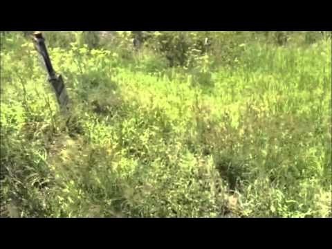 Rhino/Tapex Tips From The Field - Vent Pipes