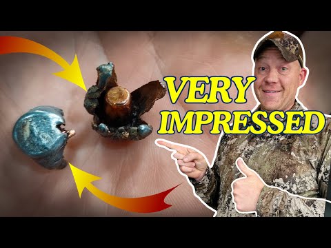 2 Shots = 2 Animals [VERY IMPRESSED With This Bullet Performance] (Remington Premier Long Range)