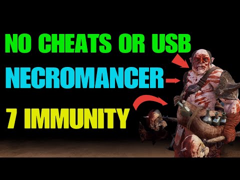 HOW I MADE A 7777 IMMUNITY NECROMANCER