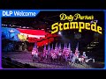 Dolly Parton S Stampede Silver Dollar City