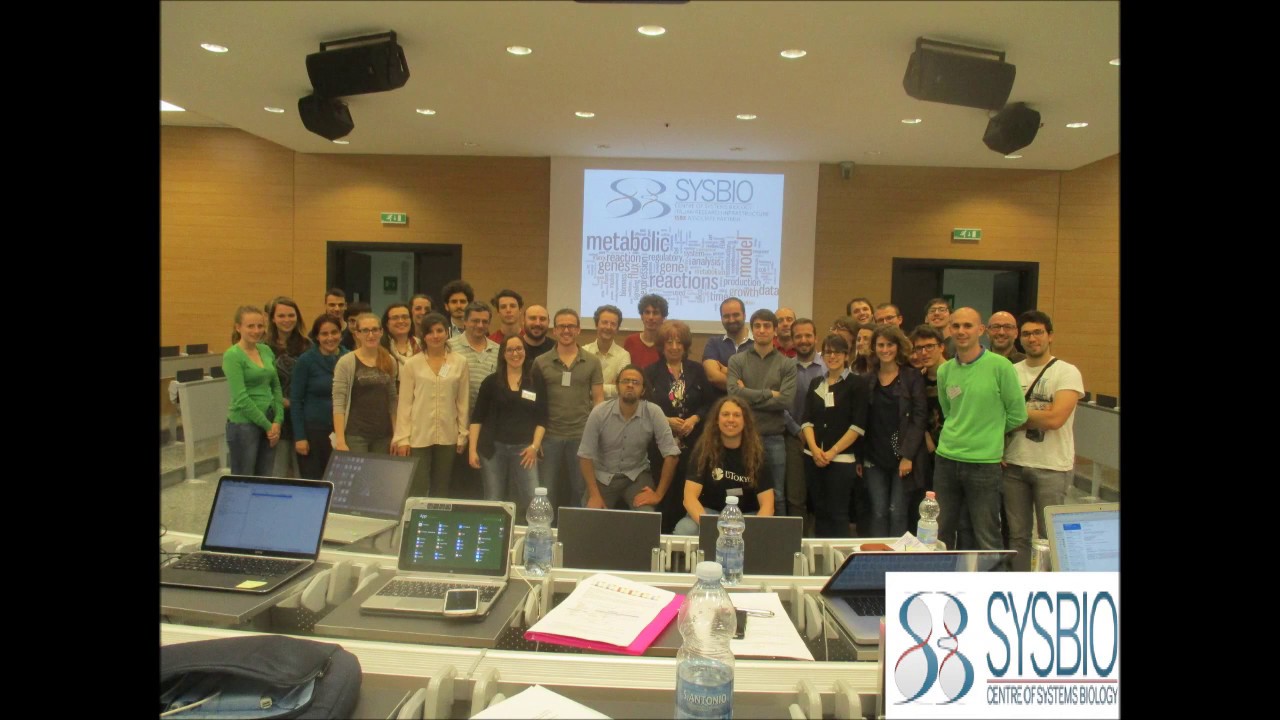 Parameter estimation and parameter scan methods