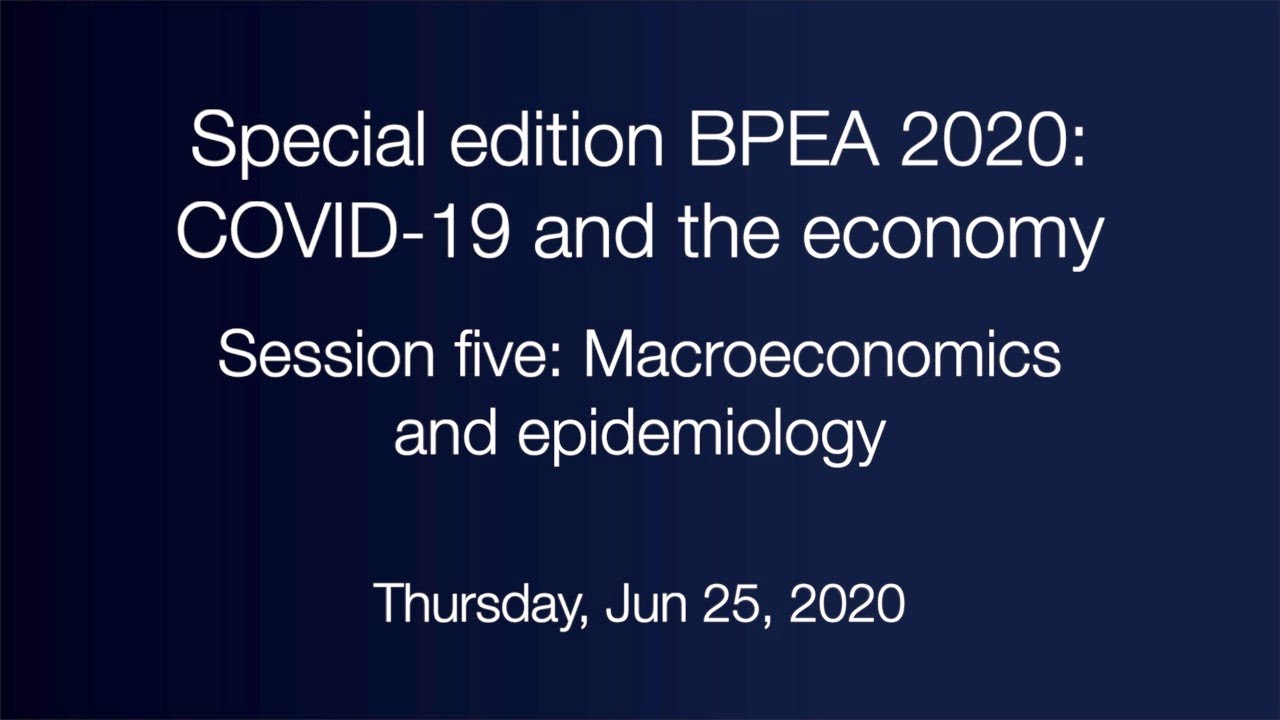 Session five: Macroeconomics and epidemiology
