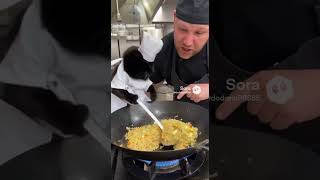 chef cat  #sora2 #aivideo #shorts