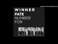 WINNER - FOOL (Japanese Version)