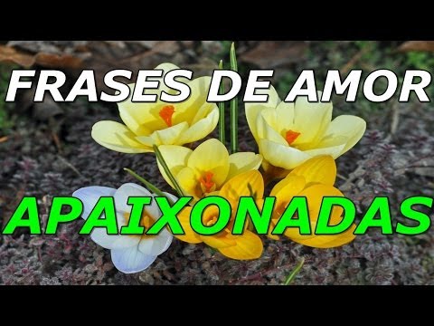 Vídeo: Frases Apaixonadas: perguntas e respostas