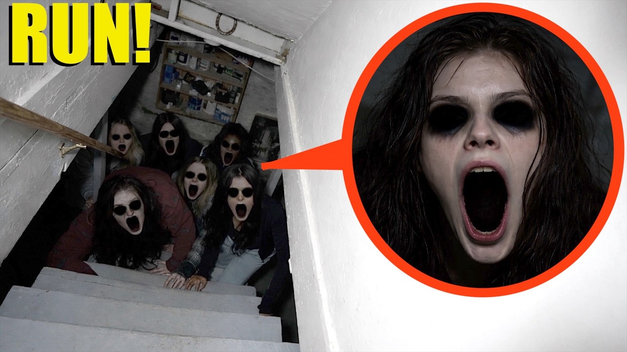 They have been hiding in my basement for years... (They won't leave)