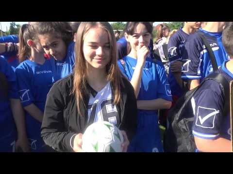 Cupa Crisius - ediția a XL- a, Ipostaze.