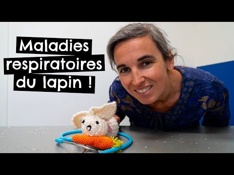 , title : 'Maladies respiratoires du lapin ! 🐰'
