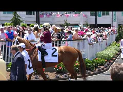 2016 La Troienne G1 view from the paddock