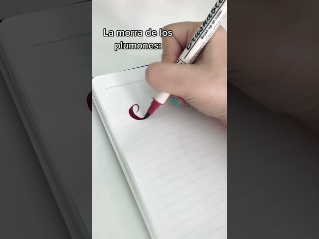 Vídeo relacionado con Tinta Mágica: Animales (DIBUJO Y MANUALIDADES)