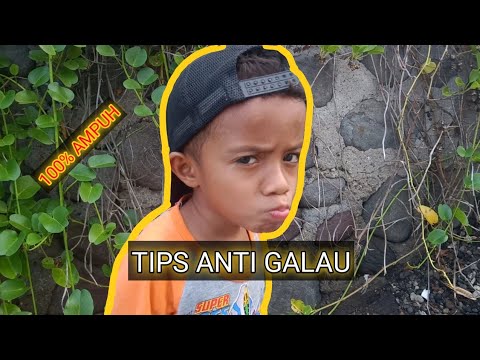 tips-anti-galau