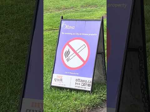 Awesome Raining View Ottawa Canada Beach View 🇨🇦🍁