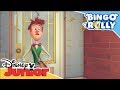 Bingo Y Rolly Misión Hawái Disney Junior Oficial