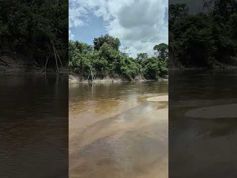 rio Maracaçumé no Maranhão #pescaria #interior #Maranhão