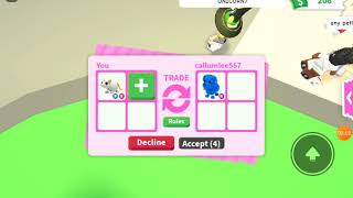 omg blue dog dream pet