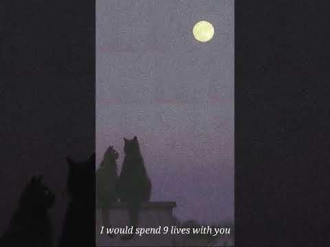 MANA KA KURA- Shashwot Khadka//cover