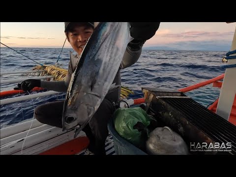 EP813-P1 - Day 1 of Tuna Series