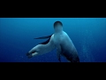 Happy Feet Do It Again The Beach Boys