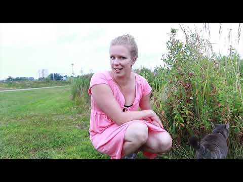 Betyder blod alltid missfall?