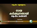 If You Dream That The Dog Is Biting Latest Swapna Vyakyanam Aslami Usthad Swapna Vyakyanam