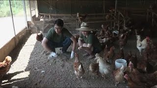 나는 농부다 58회 1부 - 그대와 함께卵(란)Ⅰ