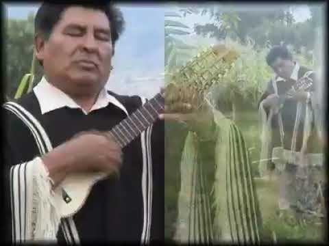 Ingrata no llores BONNY ALBERTO TERAN