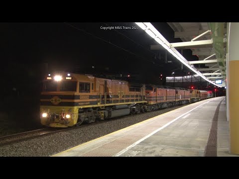 ALCO 8050 & Aurizon Grain Train: RARE Trains of the Night