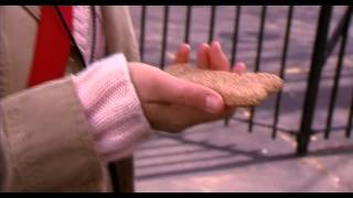 Boombox by Mosquitos (Music Video)